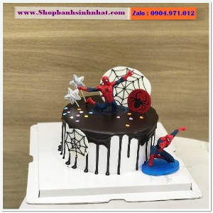 Bánh Sinh Nhật Socola - S188
